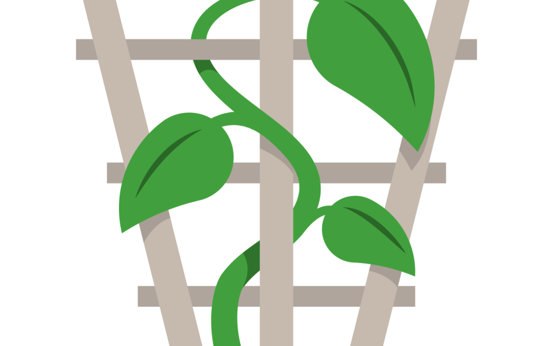 Introducing, The Trellis