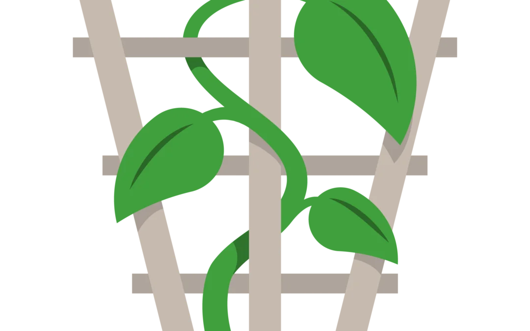 Introducing, The Trellis