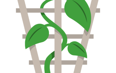 Introducing, The Trellis
