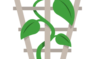 Introducing, The Trellis